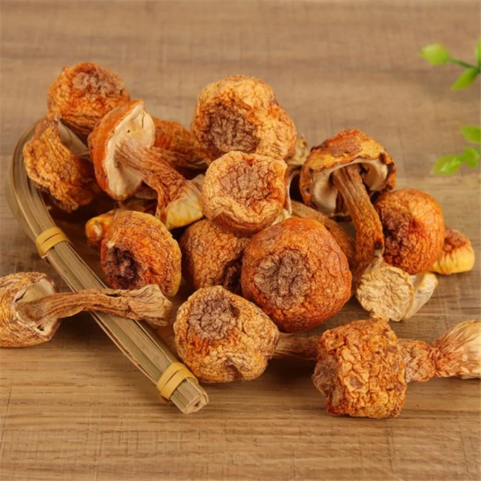 Ji Song Rong 100% Natural Herbal Food Dried Agaricus Blazei Murrill with Good Taste