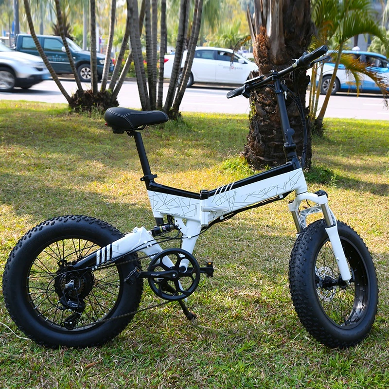 China de alta potencia de 48V Bicicleta eléctrica motor de 750 W bicicleta Bicicleta eléctrica e moto de nieve