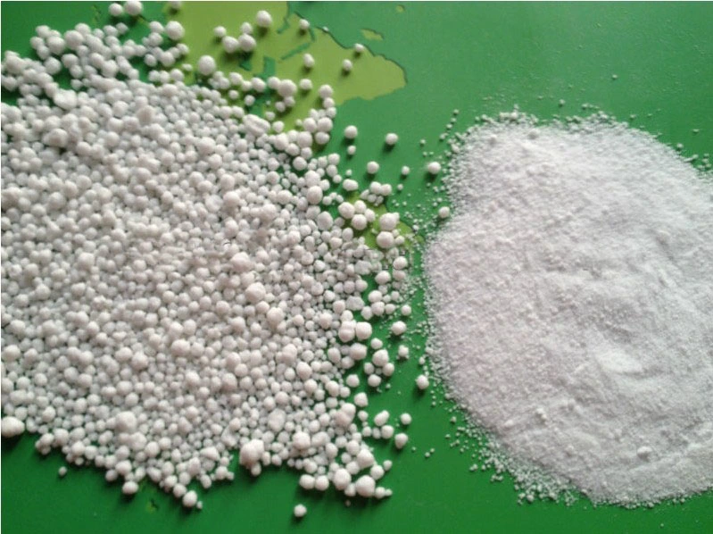 Factory Outlets Ammonium Nitrate Phosphate 30-6; 31-5; 32-4 NPK Fertilizer