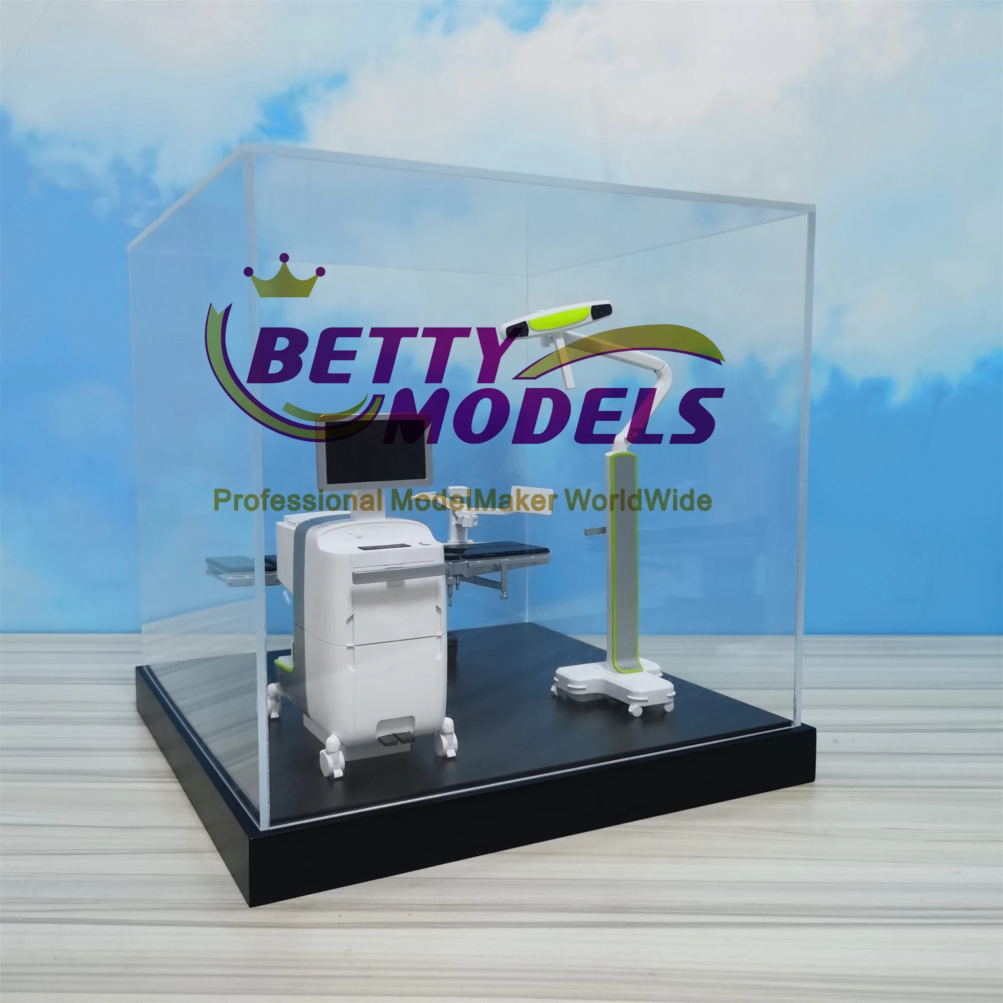 Perfect Medical Teaching Model with Customized Scale and Colour