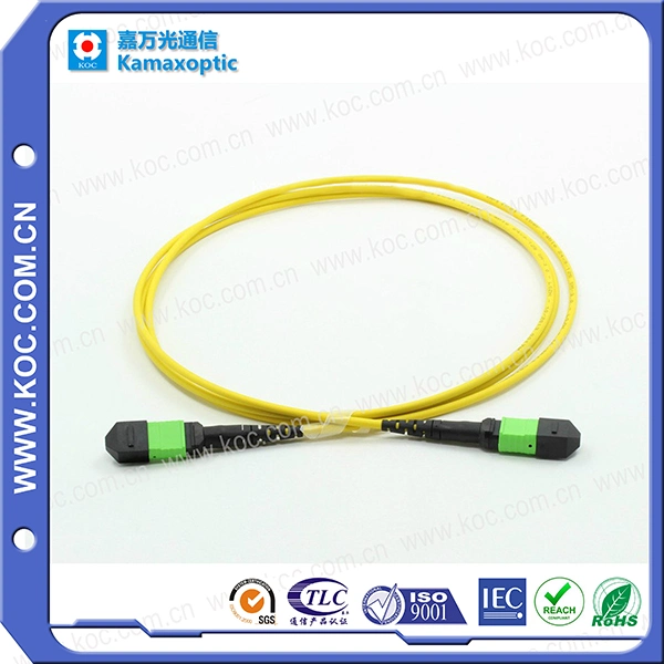 Patchcrod MPO/MTP Data Center Solution Fiber Optical Cable