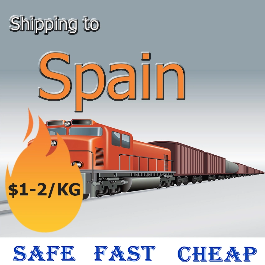 Train de transport de conteneurs de la Chine à l'Espagne/pays-Bas/Italie par chemin de fer