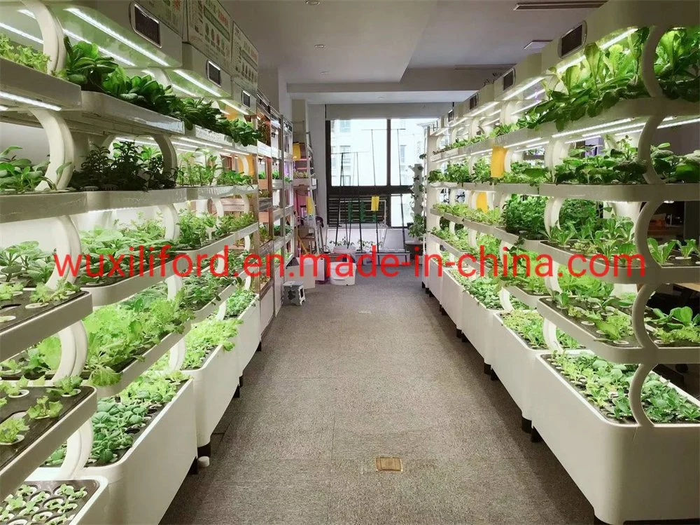 Home Garden Indoor Hydroponics Growing System for Planting Vegetables