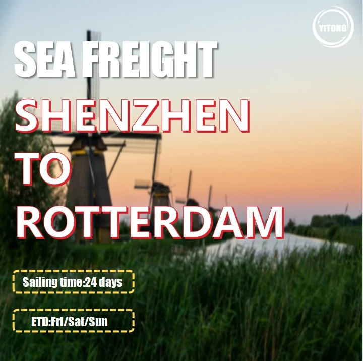 Ocean Freight Rate 20 Container From Guangzhou to Rotterdam