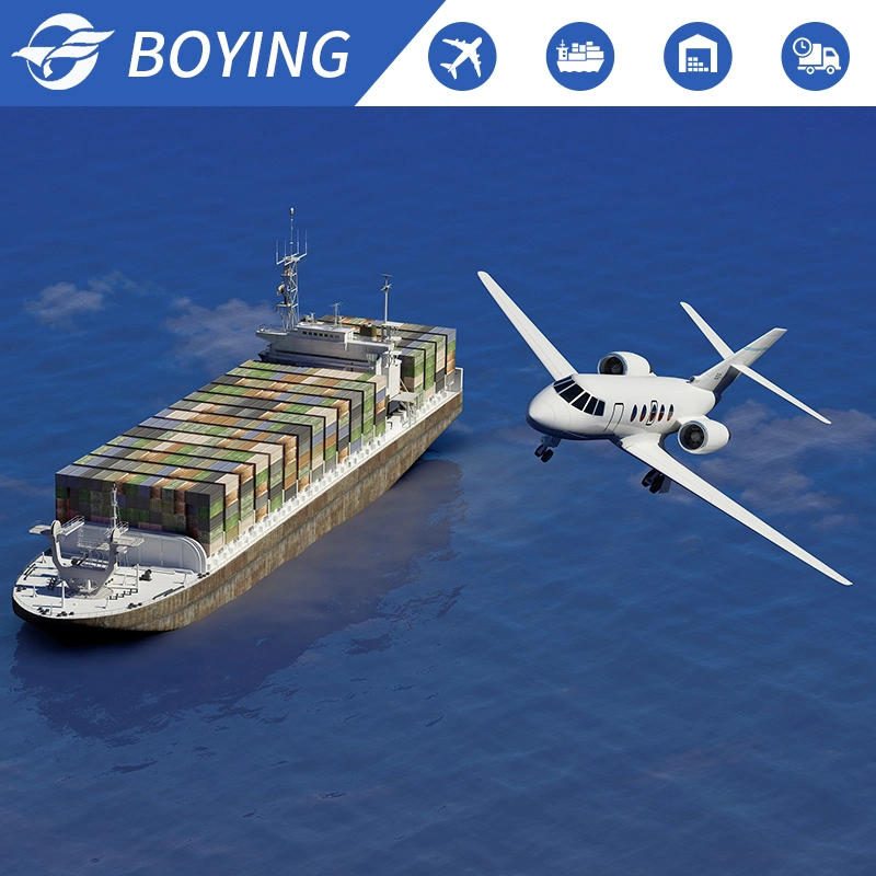 Despachante de carga de carga de carga de frete Agente Logística Transporte marítimo para EUA Europa Canadá