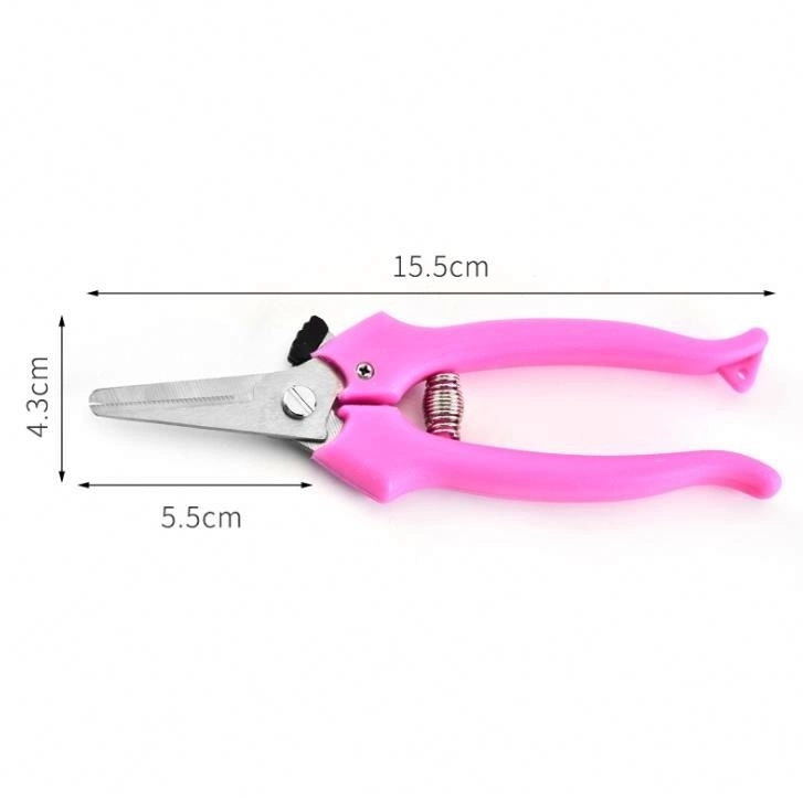 Steel Professional Picking Fruit Plant Scissors with Groove and with Plastic Handle for Grape Pruning