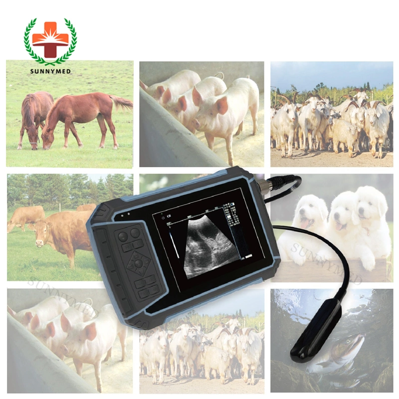 Sy-A014n Waterproof Veterinary Ultrasound Feline Canine Fish Ultrasound Scanner