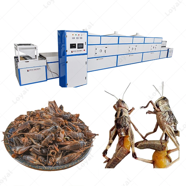 Black Soldier Fly Larvae Cricket Grasshopper Mealworm Insect Microwave Drying Sterilization Machine