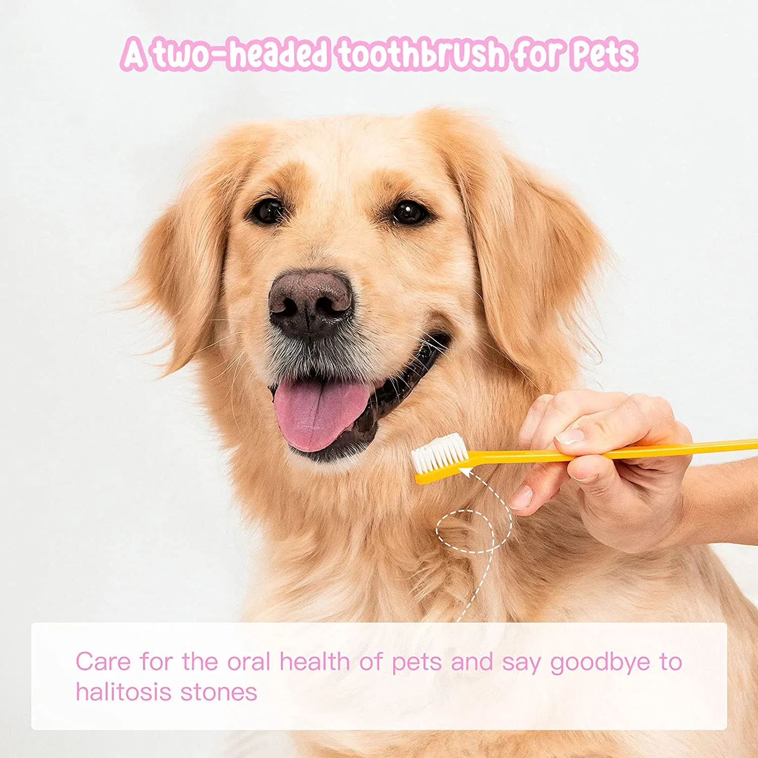 Double Headed Dog Cat Toothbrush Long Handle Pet Toothbrushes Dual Ended Dog Toothbrush Soft Bristles Dog Teeth Cleaning Toothbrush for Pet Dog Puppy