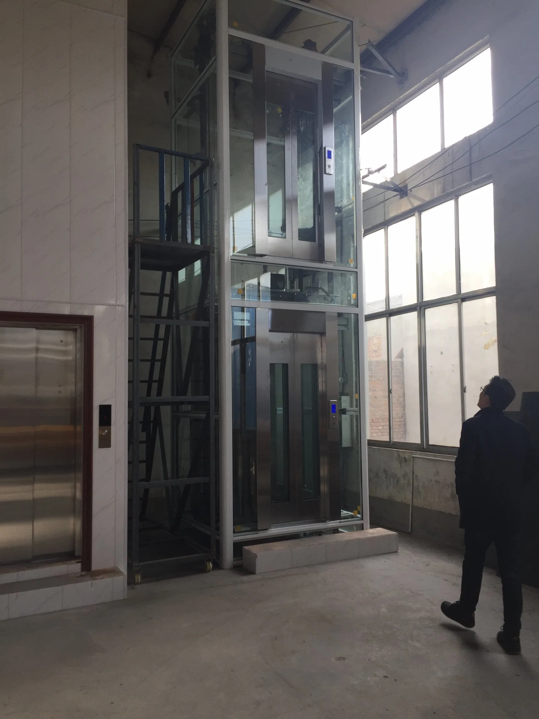 Sightseeing Home Villa Passenger Elevator Mrl From China