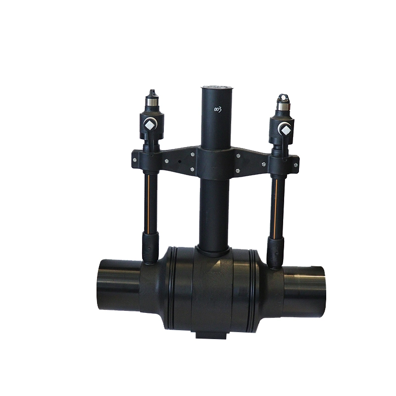 HDPE PE Pipe Fitting Two Purge Ball Valve Pn16 SDR11 for Water or Gas Project