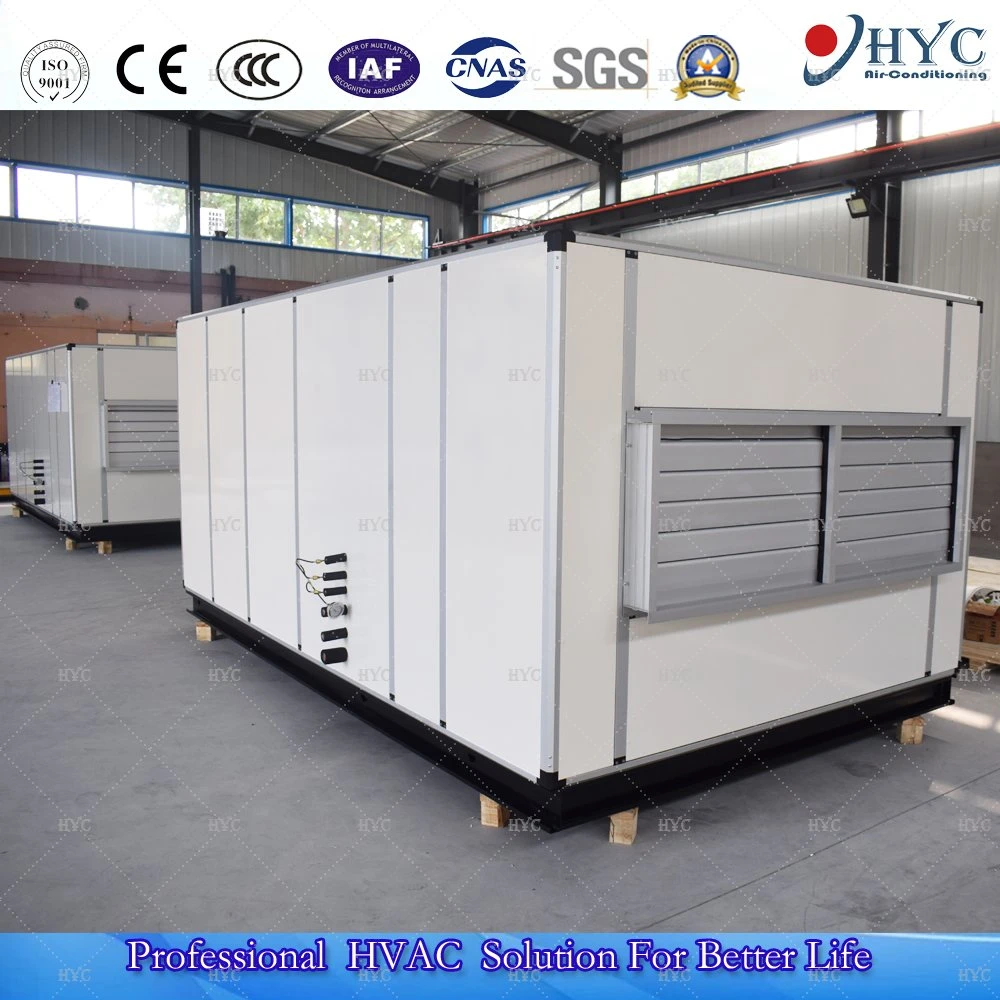 Heat Recovery Fresh Air Handling Unit/Ahu/Combined Air Conditioner Cooling System