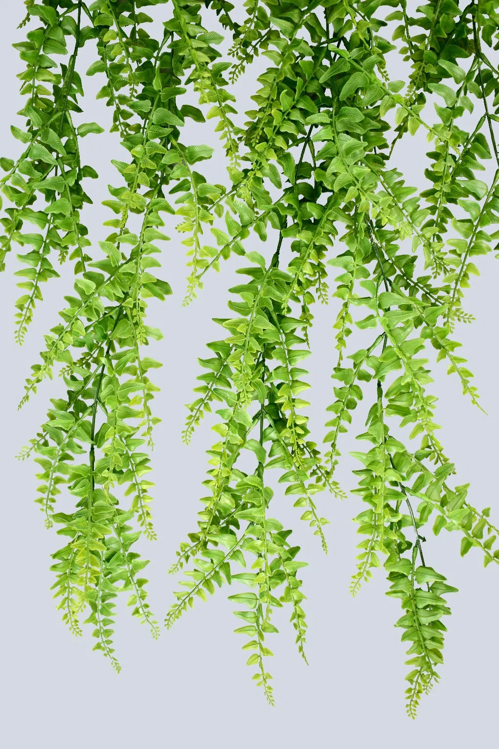 Anti UV Resistant Hanging Fern Bush Artificial Plant for Home Decoration Indoor and Outdoor (48961)