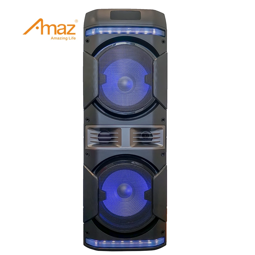 Amaz Original Factory Wholesale/Supplier Customized OEM Double 10 Inch Karaoke Speakers