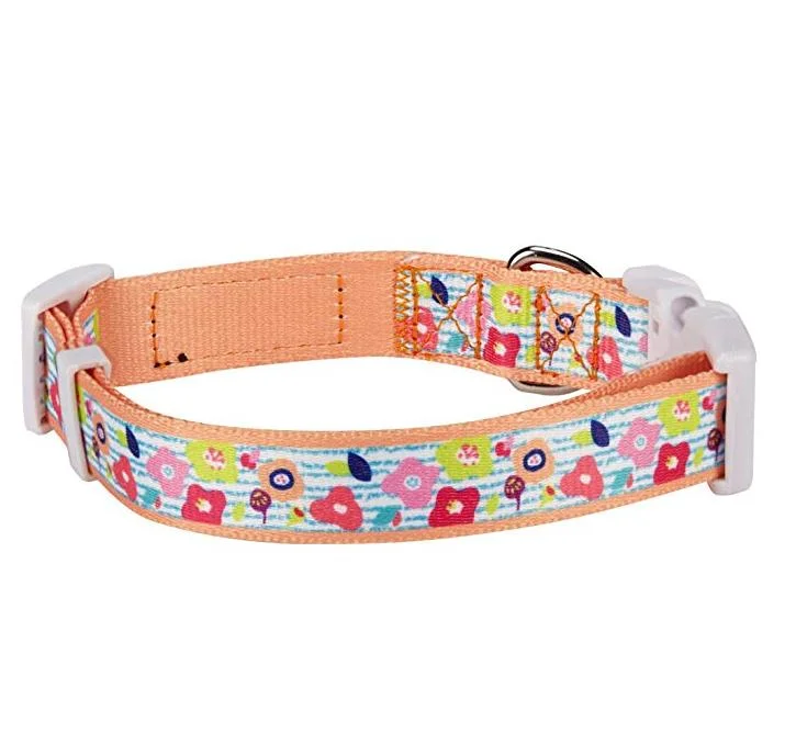 Hanyang Most Popular Sublimation Printing Dog Collar with Custom Design Wholesale/Supplier Pet Supplies