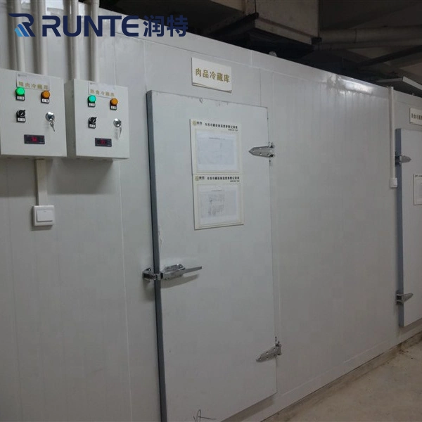 Runte Brand Insulated PU/PIR Panel Stainless Steel Cold Room Hinge/Swing/Sliding/Overhead Door for Refrigeration Warehouse