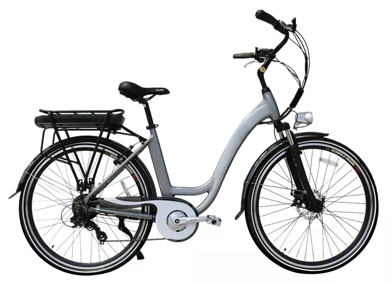 Wholesale 250/350W Rear Motor Electric Bike with Adjustable Seat Ce Approval