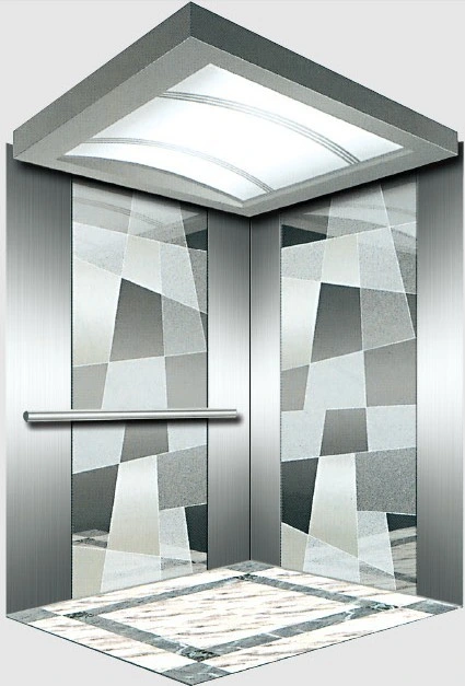 Residential Passenger Elevator for Commercial Building with Good Quality