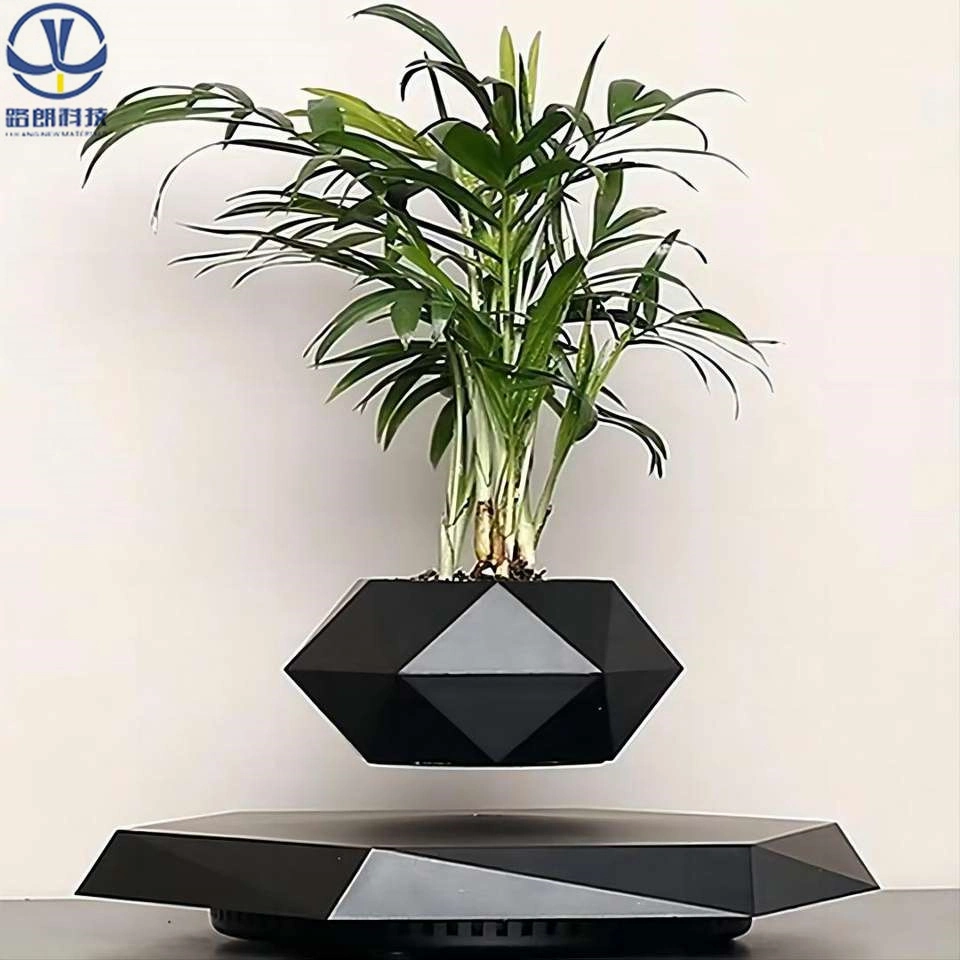 Magnetic Levitation Rotating Bonsai Wooden Floating Plant Display Stand