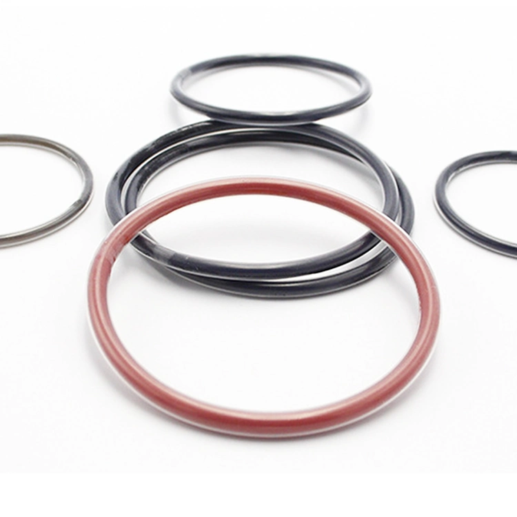 Encapsulated Oring Customized FEP/PFA/PTFE O-Ring Encapsulated Rubber Seal Good Sealing Properties Coated O-Ring