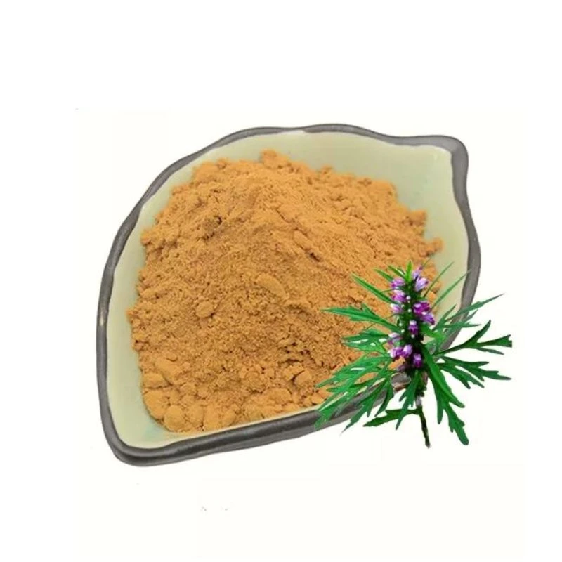 Natural Chinese Plant Extract Motherwort Herb Extract