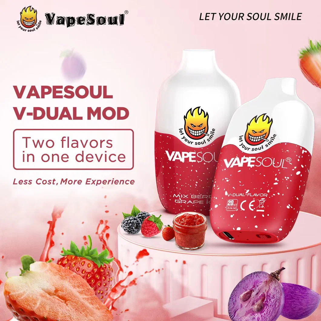 Vapesoul V-Dual zwei Tanks Geschmack Mesh Coil 5000 Puffs