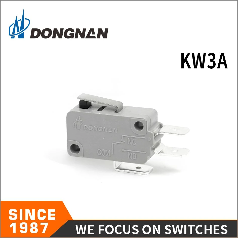 Kw3a Outils de jardin Appareils électroménagers petits Interrupteur à bascule électrique Fabricants