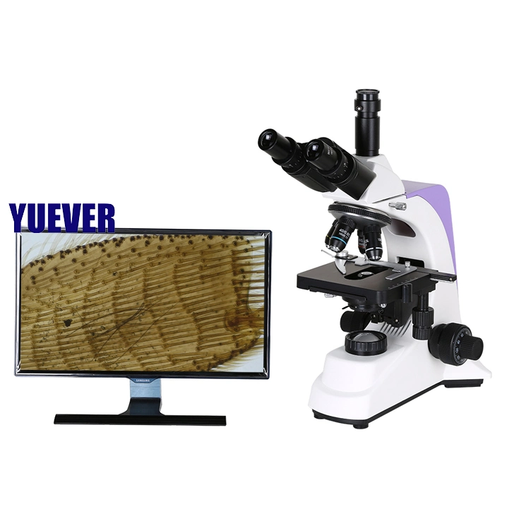 Yuever Medical Professional Lab Equipment Biological Microscope Digital Cheap Price Microscopio Biologico