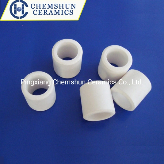 Alumina Ceramic Raschig Ring as Catalyst Support Material (Al2O3: 92%)