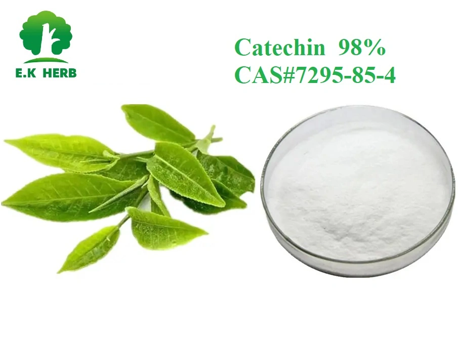 E. hierba K 100% Natural extracto de té verde Epicatechin el 98% CE para el músculo Builder CAS 490-46-0 la catequina, el 98% CAS 7295-85-4 el 98% de EGCG CAS 989-51-5 Extracto de té verde