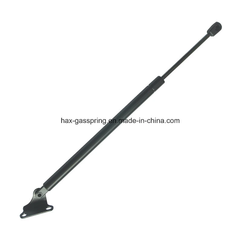 Professional Gas Springs for Advertisement Stainless Steel Gas Strut 304 316