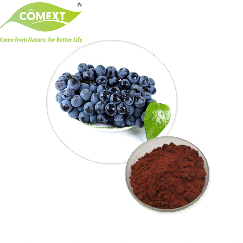 Comext Best Price Pure 98% Proanthocyanidins Grape Seed Extract for Anti-Aging