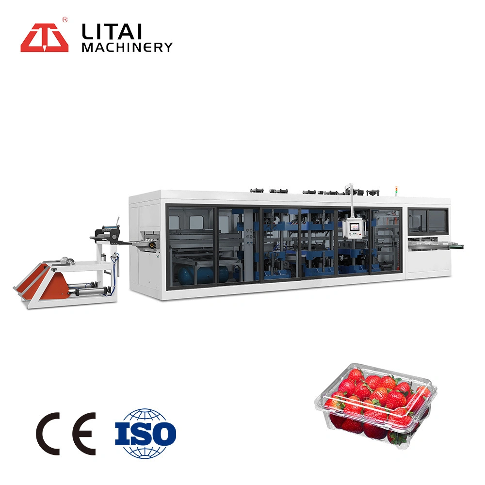 Disposable Plastic Egg Tray Thermoforming Making Machine Product Type Pass ISO Certification of China Litai Machinery
