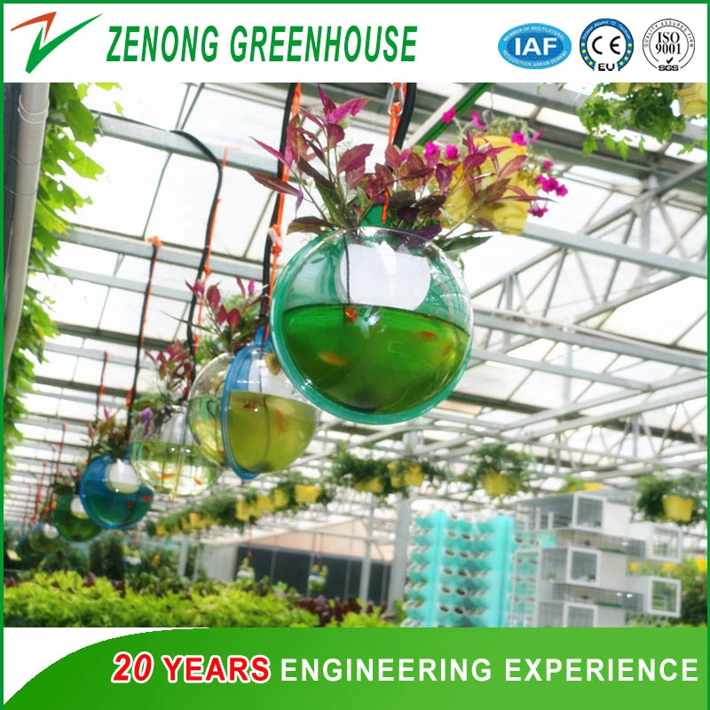 Aquaponic/Hydroponic Green House Covered with High Transmittance Glass