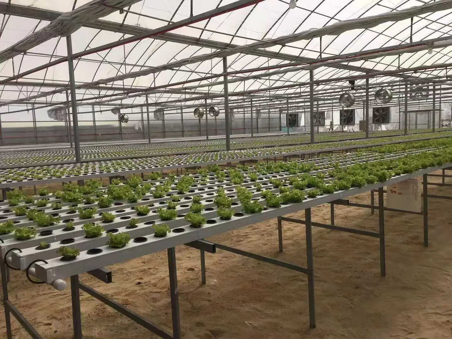 Food Grade PVC Nft Pipe Hydroponics Farm