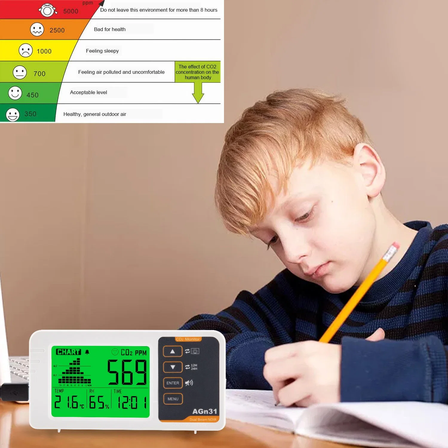 Compteur portatifs au CO2 Surveillance de la qualité de l'air à effet de serre avec RTC