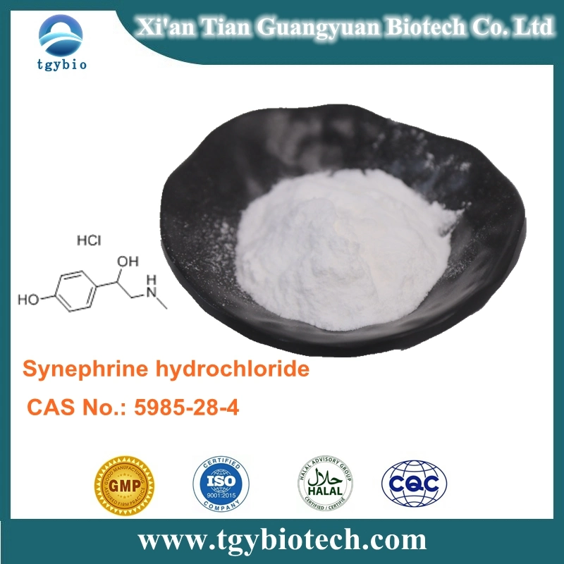 Supply Citrus Aurantium Extract 98% HPLC Synephrine HCl Powder CAS94-07-5 Synephrine