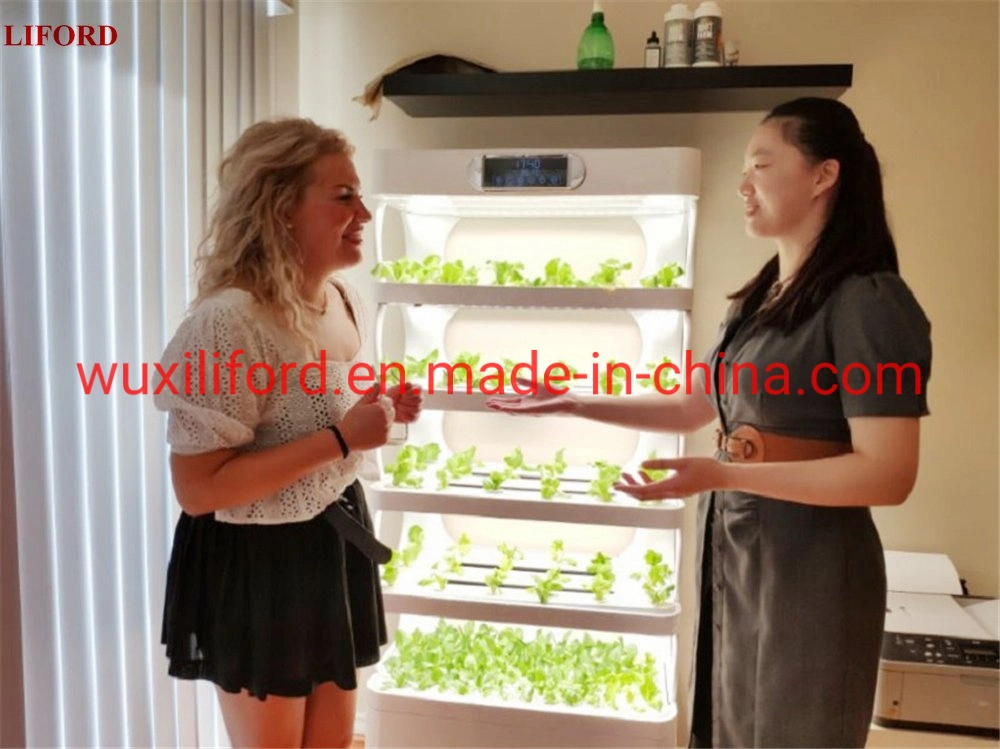 Hydroponics Intelligent Minifarm Soilless Cultivation for Indoor Plant Growth