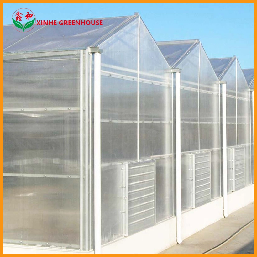 Heating System PC Plate Multispan House Shed Board Venlo Type Polycarbonate Sheet Greenhouse