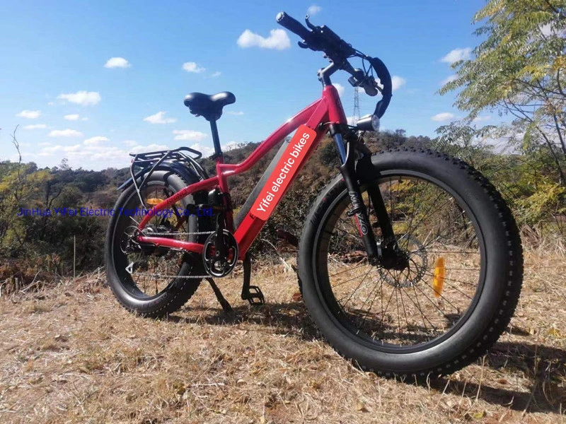 26дюйма горных жир Ebike шин напрямик на лошадях Super электрический велосипед с аккумуляторной батареей и педалей помощник E-велосипед Китая