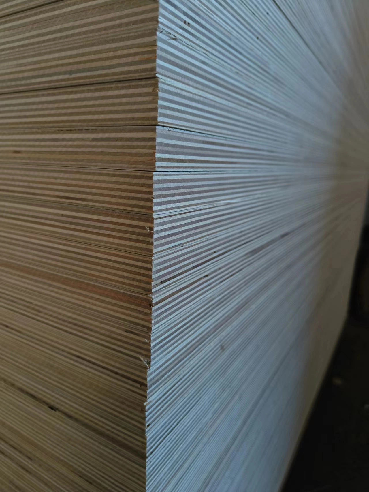 China Manufacturers Birch Wood Moisture Proof Plywood Sheet 18mm for Furniture