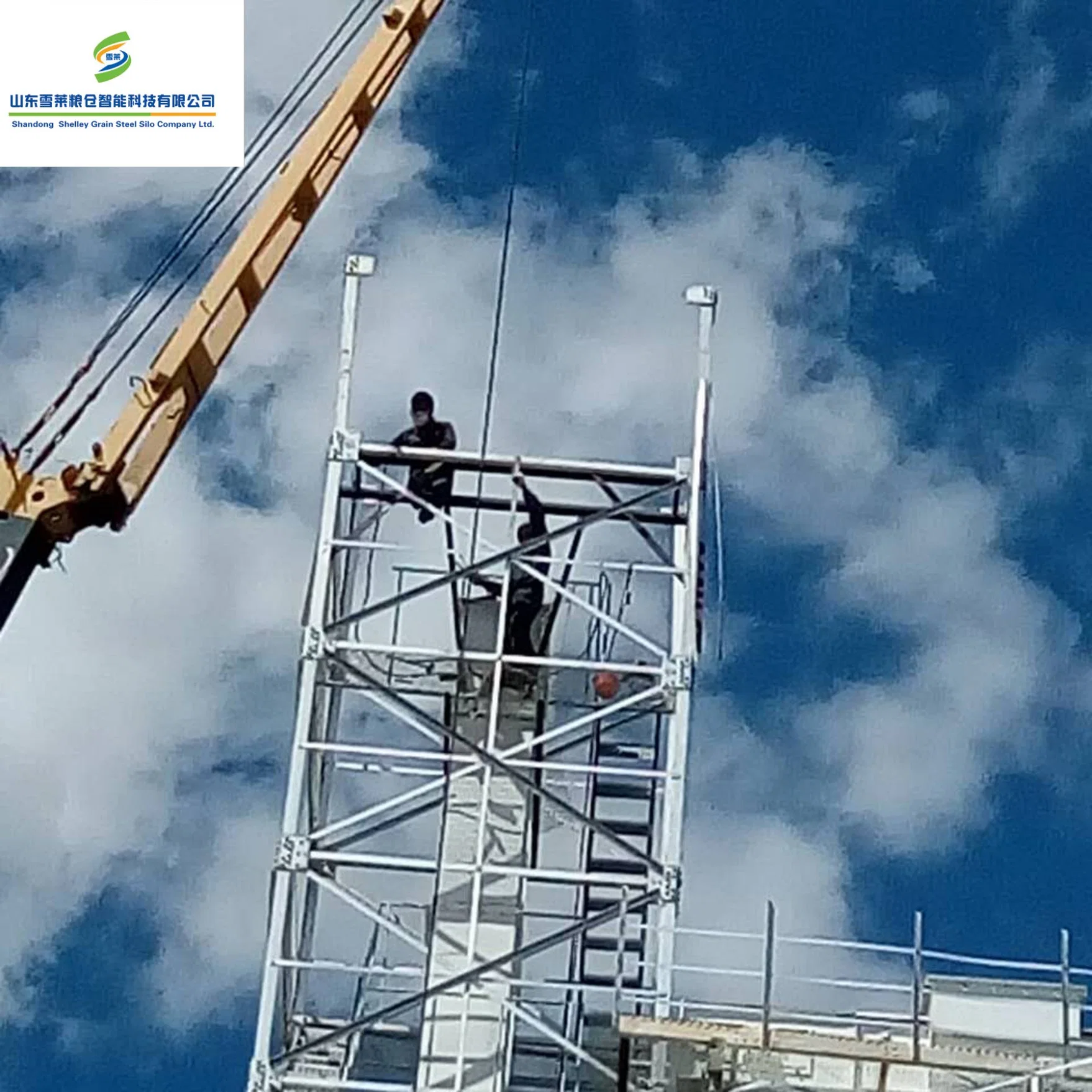 Venta caliente Precio de fábrica de China Silos de Alimentación de Semillas de Trigo, Maíz, Arroz y Paddy con Fondo Vertical y Plano Utilizados Cinta Transportadora de Granos Elevador de Cangilones.