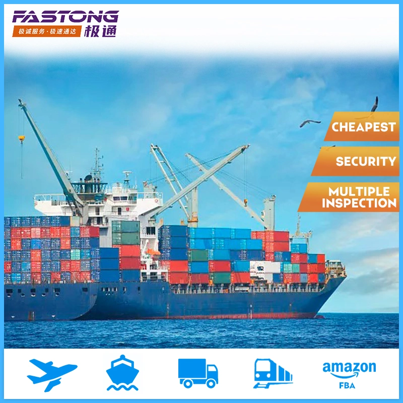 Sea Freight to Pakistan From China Low Price Shipping Forwarding Agent