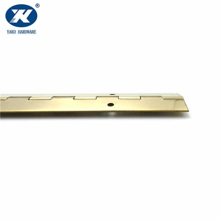 Stainless Steel or Brass or Steel Wooden Door Hinge Continuous Long Cabinet Furniture Piano Hinge