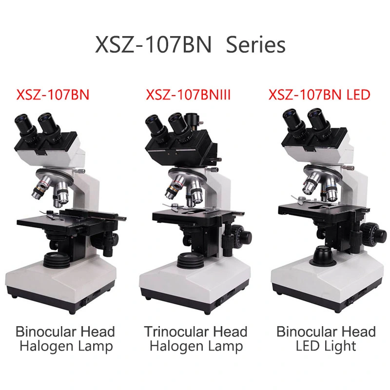 Microscopio óptico Binocular Biológico para Patología MCS-220