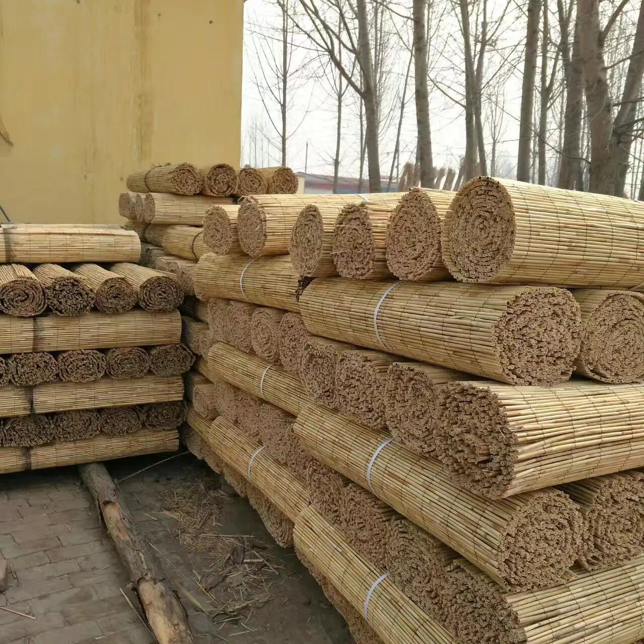 Highly Dense Whole Reed Canes Fence Reed Fencing/Blind/Screening