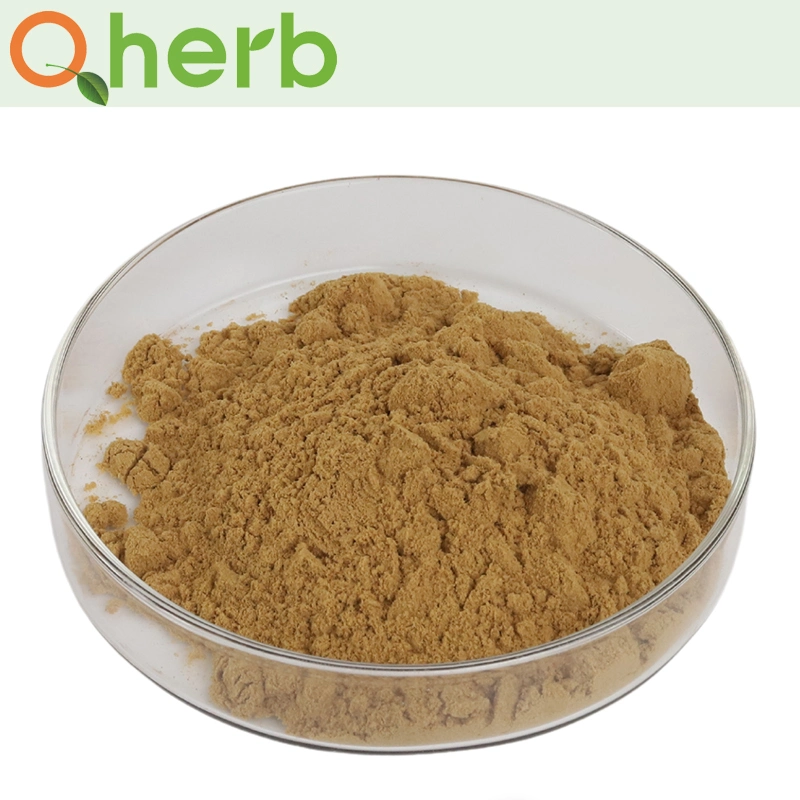 CAS: 84696-21-9 Total Triterpenes Asiaticoside B +Madecassoside+Asiaticoside 70% (Water-solubility) Gotu Kola P. E.