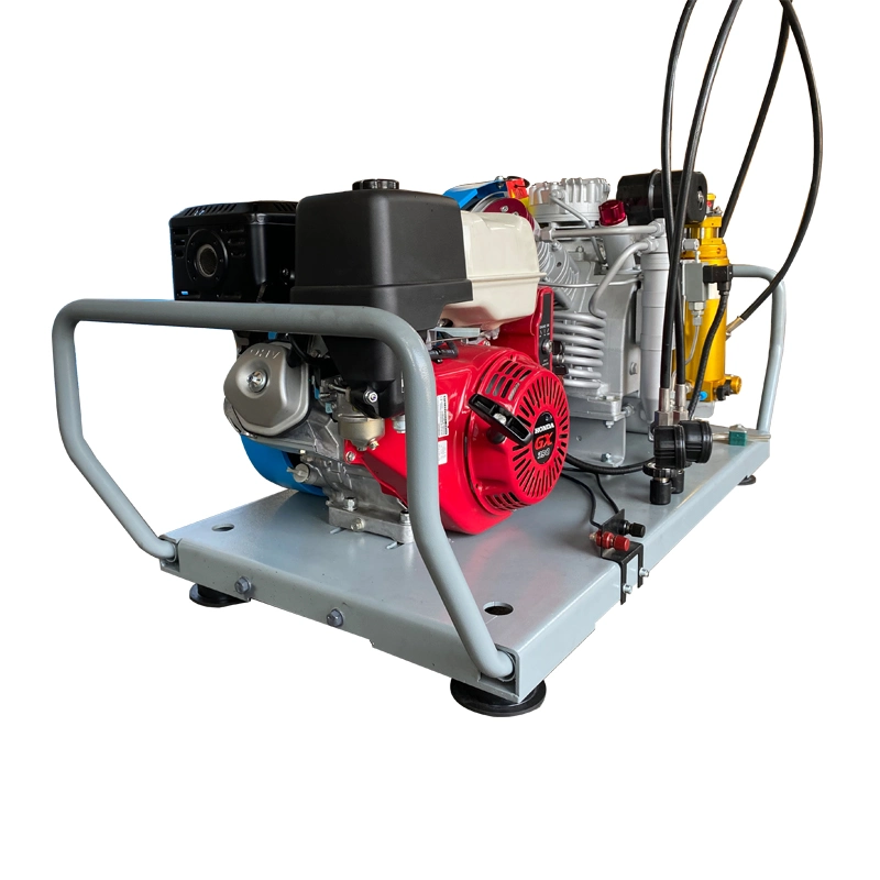 High Performance 4500psi 300bar Gas Power Pcp Pump Air Compressor for Diving