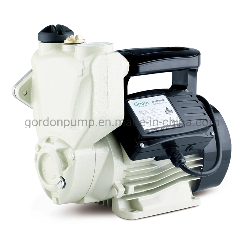 Electric Copper Wire Self-Priming Auto Water Pump with Switch Box