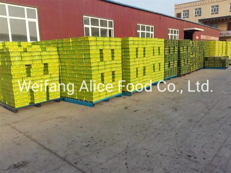 Healthy Fruit Snacks Pure Natural Bulk Packing Xinjiang Turpan Green Raisin